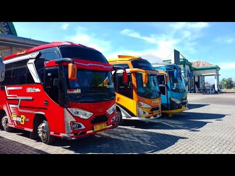 Menggagas Petualangan: Eksplorasi Dunia Bus Engkel Pariwisata