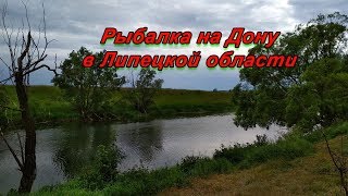 Фидерная рыбалка на Дону в Липецкой области (рыбец, плотва и подлещик)