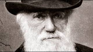 Jeffrey Harvey (biologist) | Wikipedia audio article
