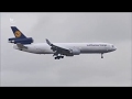 Lufthansa Cargo - Ein Flieger voller afrikanischer Rosen