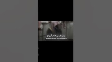 #yasseraldossary #ياسر_الدوسري #قرآن #تلاوة_خاشعة #سورة_الأحقاف #surahalahqaf