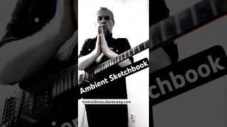 Frippertronics #ambient #guitar #soundscape #music #focusmusic #guitarist