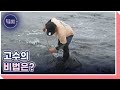 고망낚시에 빠진 강태공 제주에 내려온 사연 MBN 240523 방송