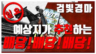 [일요 경마] 2025년 4월 27일 검빛 예상지 추천!! 배당! 배당! 배당!