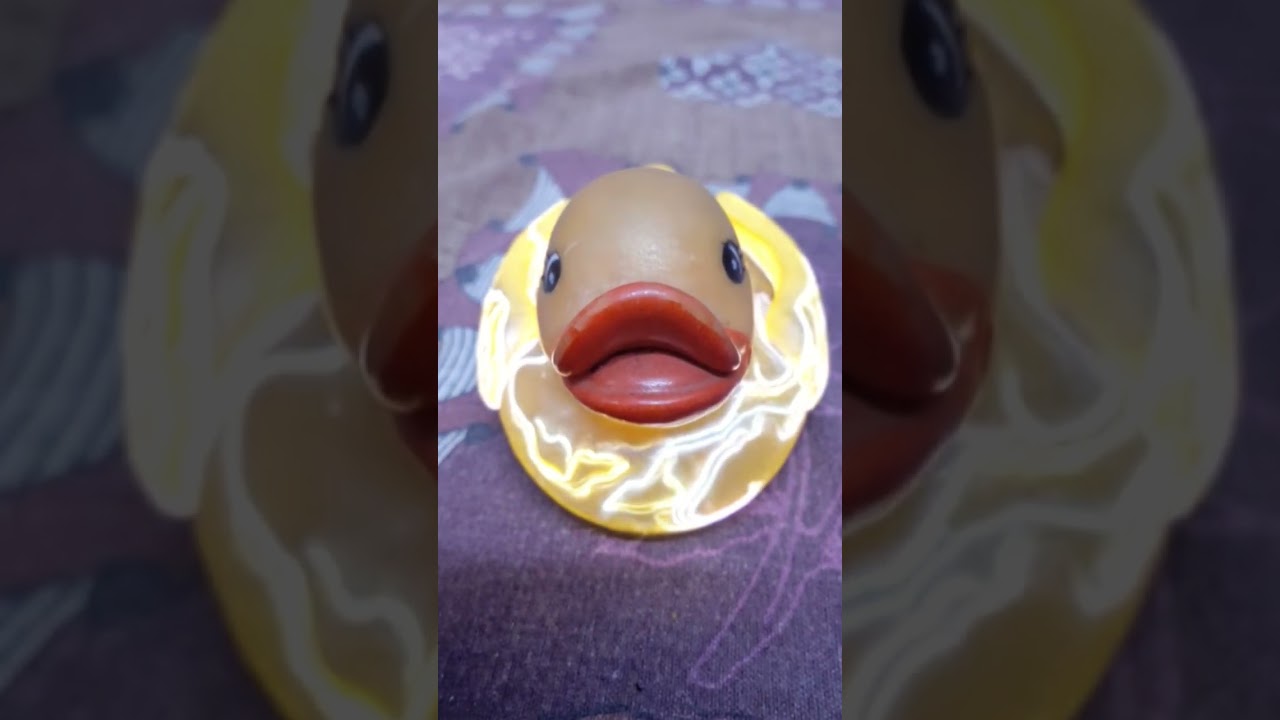 duck 🦆robot