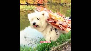 Heaven gave her the greatest luck. ✨