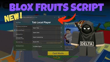 Best Blox Fruits Script 🔥 Hoho hub Script 2025