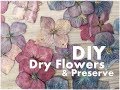 How I DRY & Preserve FLOWERS for Art Journaling ♡ Maremi's Small Art ♡