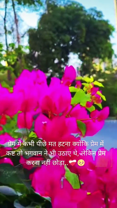 Tu Bhi Royega WhatsApp Status Aesthetic Status I#shorts #viralvideo #lofisad #maheshpateer #trending