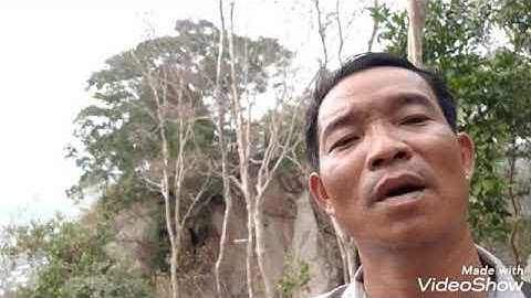 Viếng Núi Cấm vồ cây quế