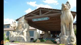 Cyborg Bro Misbehaves At The Great Wolf Lodge