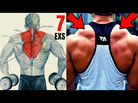 TRAP WORKOUT -MASSIVE