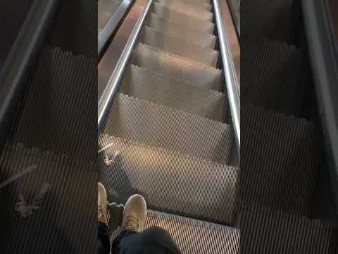 فيديو: 10 طرق للتغلب على الخوف من السلالم