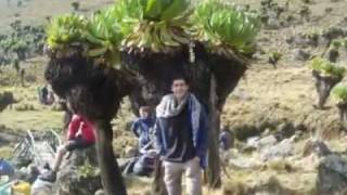 Mount Kenya.mp4