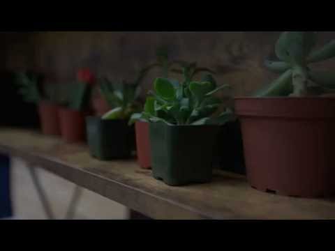 Hawke Media Website Video