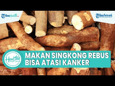 Apa Manfaat Ubi Kayu Rebus