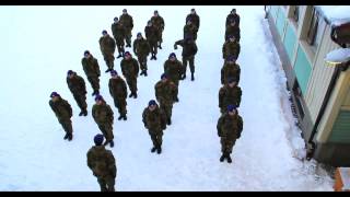 Harlem shake (Norwegian Army) Orginal