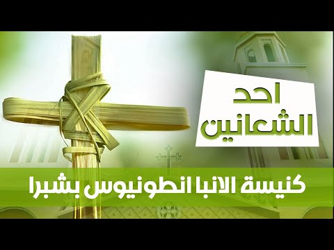 قداس احد الشعانين الثاني 2025 م 