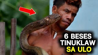 LALAKI sa PILIPINAS ANIM na BESES TINUKLAW sa ULO ng KING COBRA o BANAKON