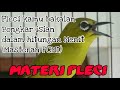 Pleci di rumah bakalan Bongkar isian Dalam hitungan Menit #MasteranPCMI