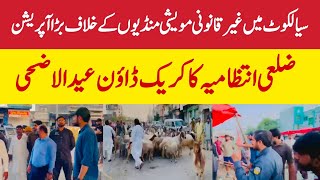 Major operation against illegal cattle markets in Sialkot | District administration crackdown | E...