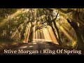 Stive Morgan : Ring Of Spring