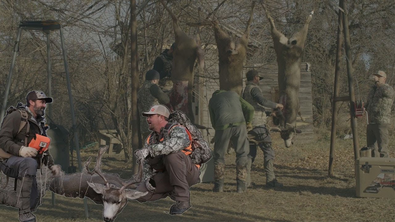 Montana Deer Hunt Willi plays a different role on this hunt with