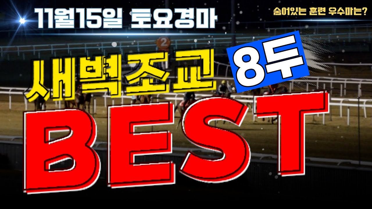 [굽소리경마] 준비잘된 훈련 우수마 출전하는 11월15일 토요경마!! 혼전속 중심 잡아줄 훈련잘된 8두!!#새벽조교#과천경마장#조교우수마#굽소리경마