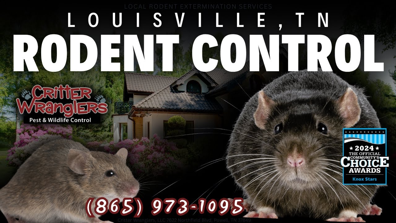 Louisville, TN Rodent Control Services (865) 973-1095 - Critter Wranglers, LLC