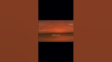 سورة النمل #اكسبلور #النمل #قرآن