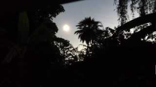 Total Solar Eclipse Cairns November 14th 2012