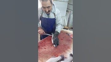 how to fillet rainbow trout no bones