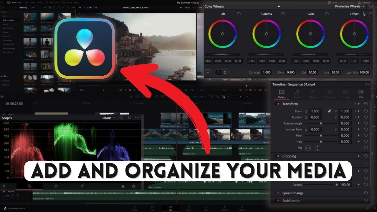 How to Add and Organize Media in DaVinci Resolve 2025? - YouTube