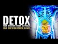 Detox your digestive system naturally  heal digestion disorders fast  boost your digestive enzymes