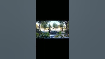 #القرآن الكريم 🤲🌹🤲🌹🤲👍🔥💔فضلا وليس امرا جزاكم الله خير المغرب 🇲🇦 الجزائر 🇩🇿