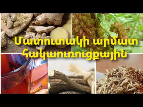 Video: Ո՞րն է հավասարման արմատը