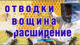 Отводки. Формирование отводков.  Расширение вощиной