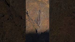 León Jujuy Argentina