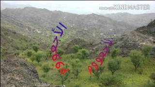 شيلة سلو عنى