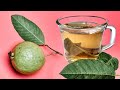 🍃 Esto Es Lo Que Te Pasa Si Tomas Te De HOJAS De GUAYABA🍃  - 3 Beneficios - Lunacreciente