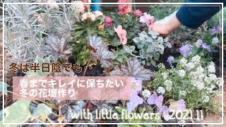 ガーデニング 春までキレイに 冬の花壇作り 冬は日陰の花壇 初心者さん向け 冬の花壇 11月の庭仕事 ガーデニングvlog マンション専用庭 Youtube