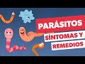 Todo sobre PARÁSITOS INTESTINALES| Síntomas, medicamentos y prevención