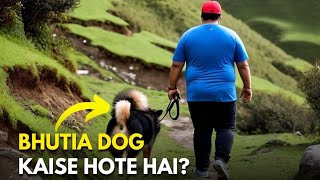 How to Identify a Bhutia Dog in Hill Station || Indian dog breed In Hindi