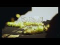 Unreal engine 5 : kingdom of morocco