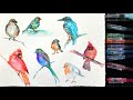 Sketch 8 Birds FAST! Realtime Sketching video