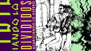 Divididos - Acariciando lo áspero (1991) (Álbum Completo)