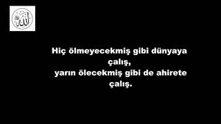 Asr Suresi | Nasser al Qatami