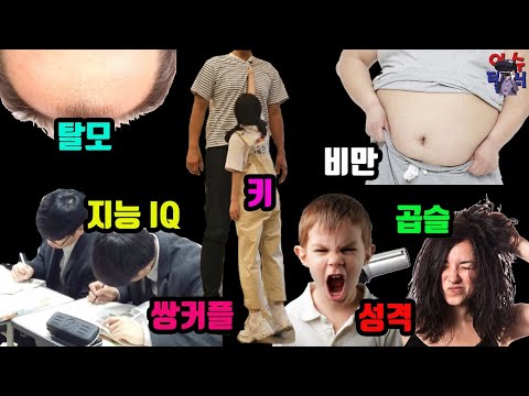 정말 이 모든게 전부 유전으로 결정돼 버리는 걸까? 각 부분별 유전 확률!