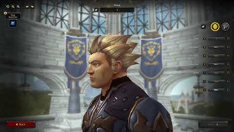World of Warcraft Shadowlands Character Creation Human Males