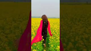 Pin by Worldofmysoul on Romantic videos | Girly photography, Princess videos, Cute beauty